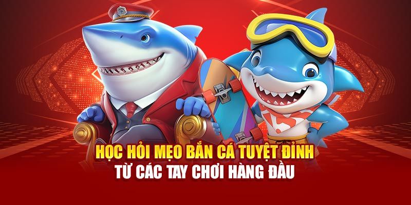 Chiến thuật săn cá hiệu quả tại FM88