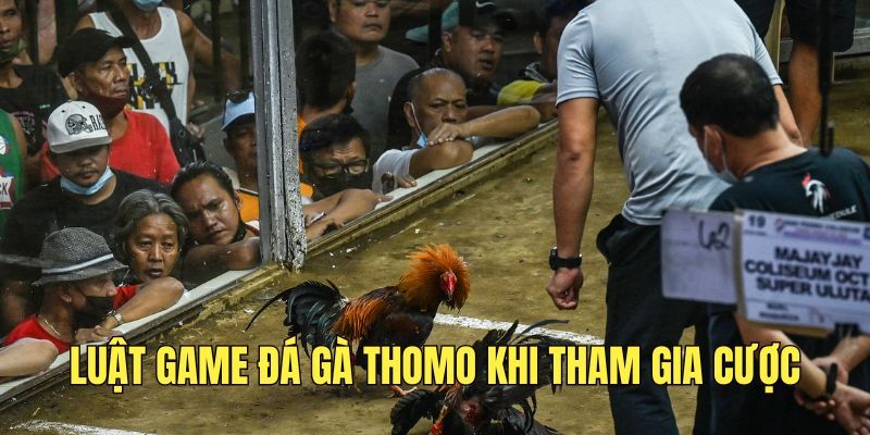 Đá gà thomo campuchia Hướng dẫn chi tiết cách chơi đá gà thomo campuchia tại FM88